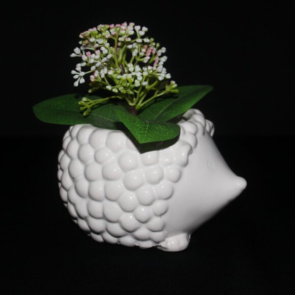 Hedgehog Plant Pot | Animal Flower Pot | Indoor Planter - Picture 5 of 8